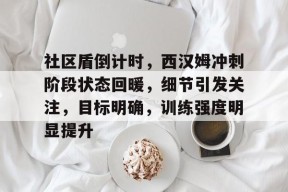 开云登录-关于社区盾倒计时，西汉姆冲刺阶段状态回暖，细节引发关注，目标明确，训练强度明显提升的信息